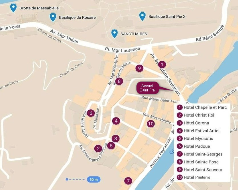 Plan de positionnement des hôtels référencés à Lourdes